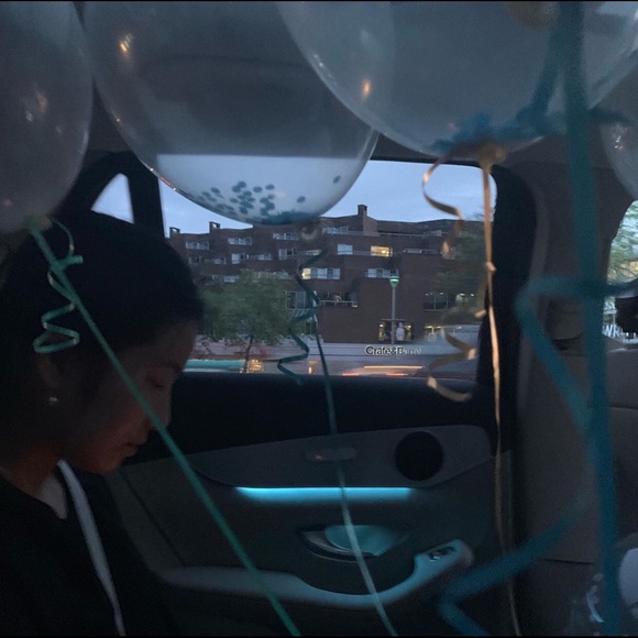 Meet your Posher, Bailey - Picture 1 of 1